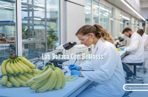 Lab-Banana.Com Business
